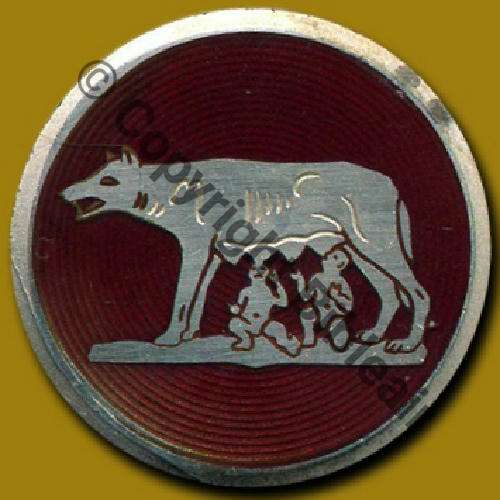 A0904  1964 SAL.22 A0904 ERV.4.91 LANDES MARSAN  DrP Bol allonge Dos lisse Src.A.DENIS 